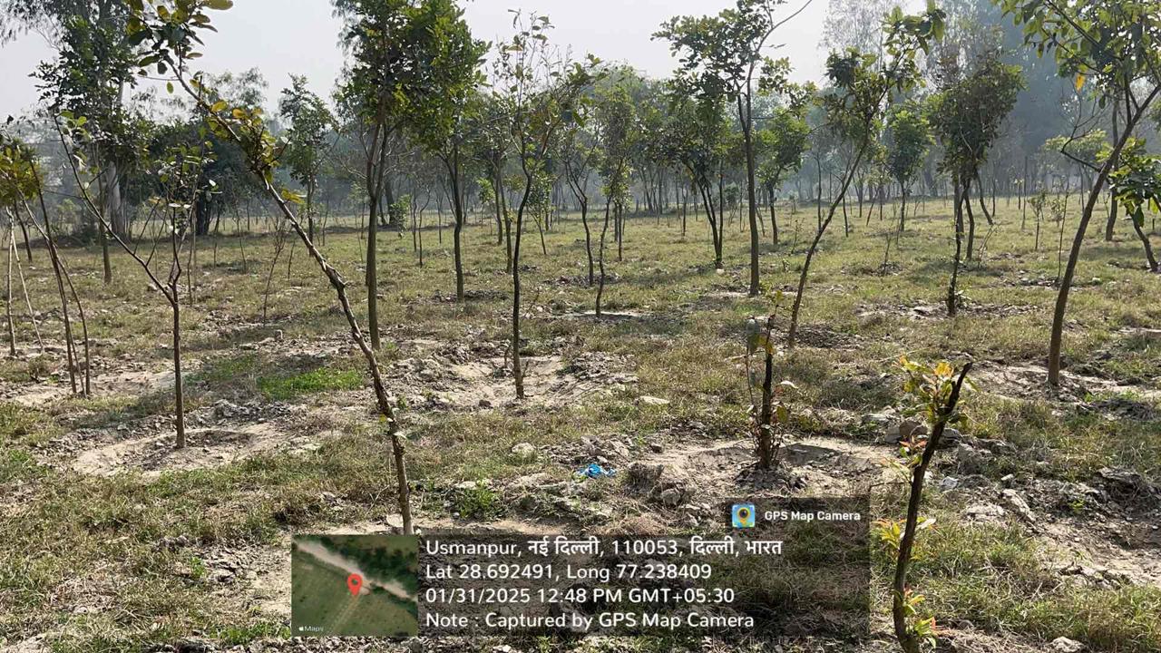 Compensatory Afforestation